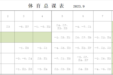 2023-2024学年长桥中学体育总课表